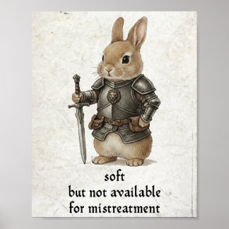 The Little Bunny Paladin Poster