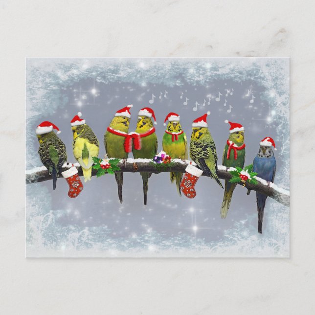 The Little Carollers Postcard (Front)