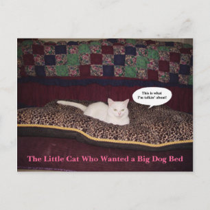 The Little Cat Who Wanted a Big Dog Bed Postcard