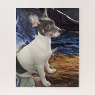 THE LITTLE CHIHUAHUA DOG JIGSAW PUZZLE