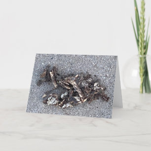 The Little Goat 🐐  Thank You Card