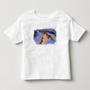 The Little Missouri River in winter in Toddler T-Shirt