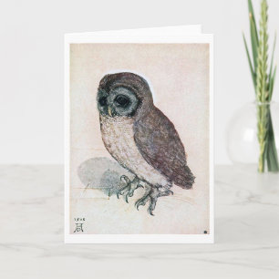 The Little Owl, Albrecht Durer Card