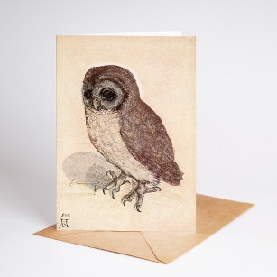 The Little Owl   Albrecht Dürer Card