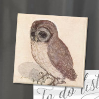The Little Owl | Albrecht Dürer