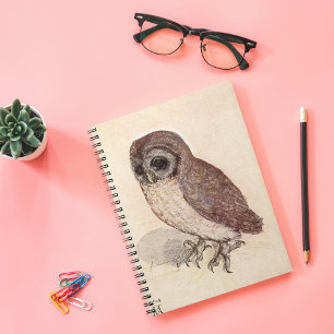 The Little Owl Albrecht Dürer Notebook