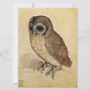The Little Owl (by Albrecht Durer) Card