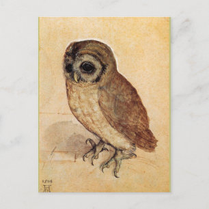 The Little Owl by Albrecht Durer Postcard