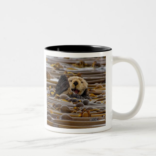 The Little Sea Otter Two-Tone Coffee Mug (Right)