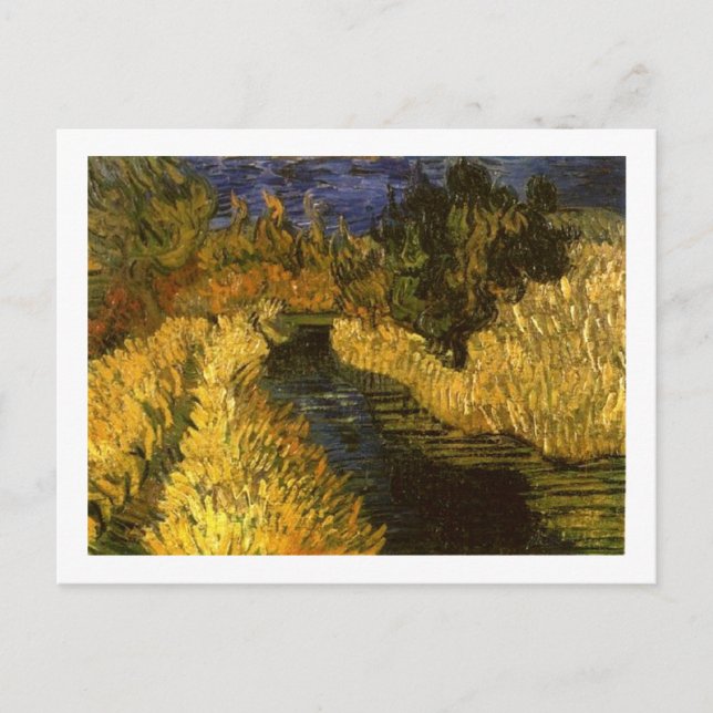 The Little Stream Van Gogh Fine Art Postcard (Front)
