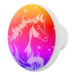 The little sweet pony,rainbow colours ceramic knob