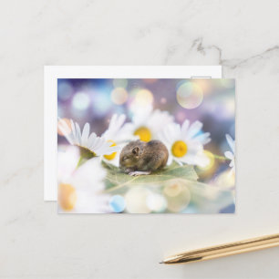 The Little Things Postcard