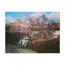 The Little Village of Glencoe, Scotland