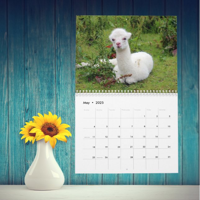 The Llama and Alpaca Any Year custom Calendar (Creator Uploaded)