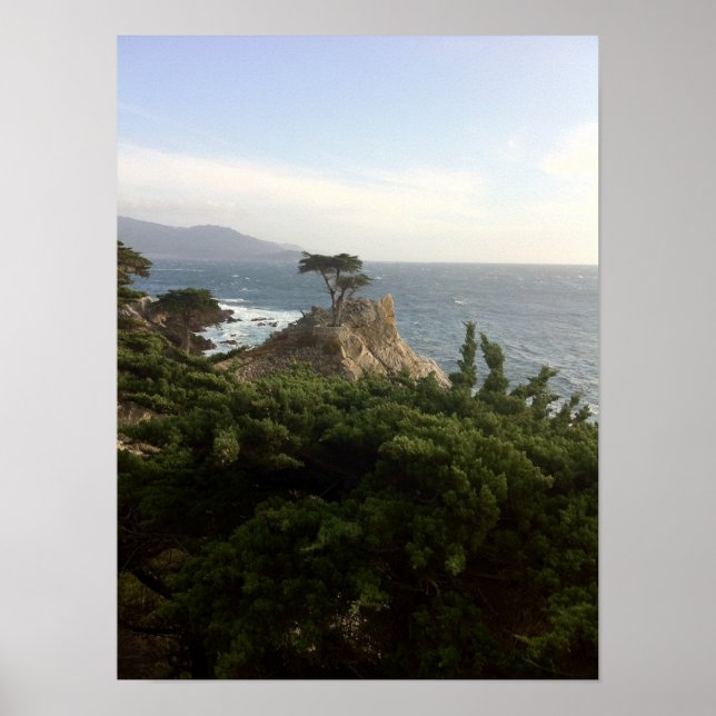 The Lone Cypress of Monterey Poster (Front)