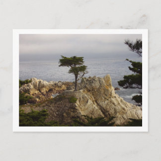 The Lone Cyprus Postcard