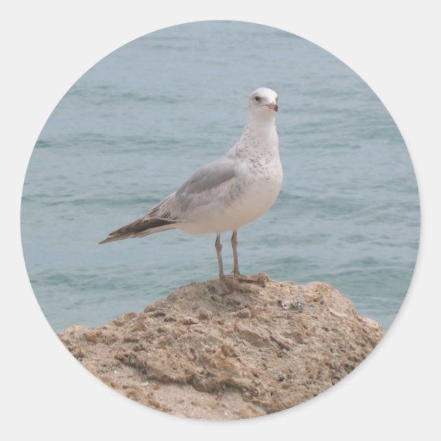 The Lone Seagull (2134) Round Sticker (Front)