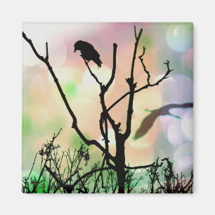 The Lonely Crow Magnet