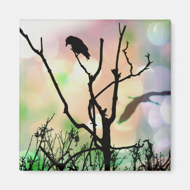 The Lonely Crow Magnet (Front)