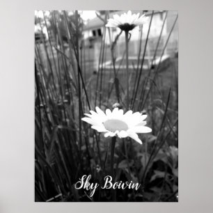 the lonely daisy poster