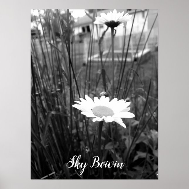 the lonely daisy poster (Front)