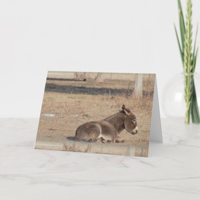 The Lonely Donkey Card (Front)