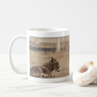 The Lonely Donkey