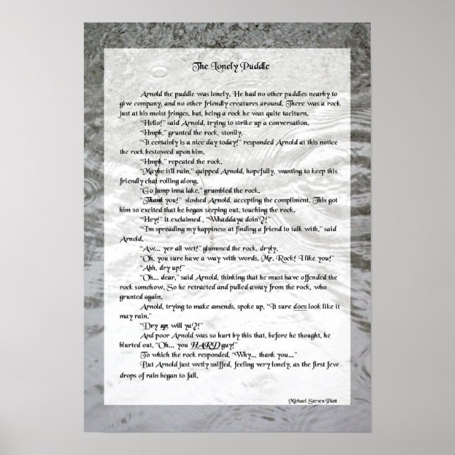The Lonely Puddle Poster Story (Front)