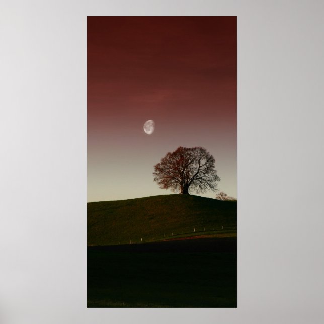 The lonely tree and the pale moon poster (Front)
