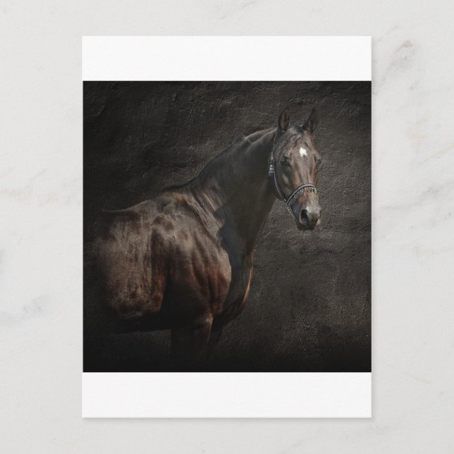 The loner postcard (Front)