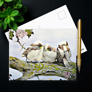 The Long-Tailed Tit, Edward Julius Detmold Postcard