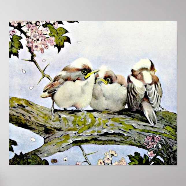 The Long-Tailed Tit, Edward Julius Detmold Poster (Front)