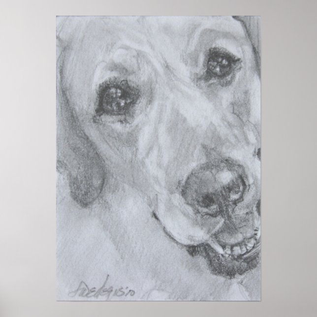 The Look Of Love Poster (Front)