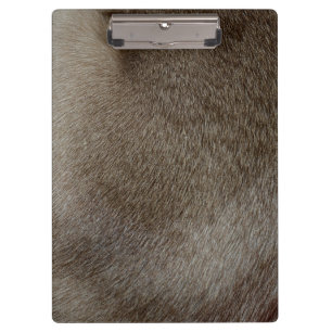 The look of Luxurious Seal Point Siamese Cat Fur Clipboard