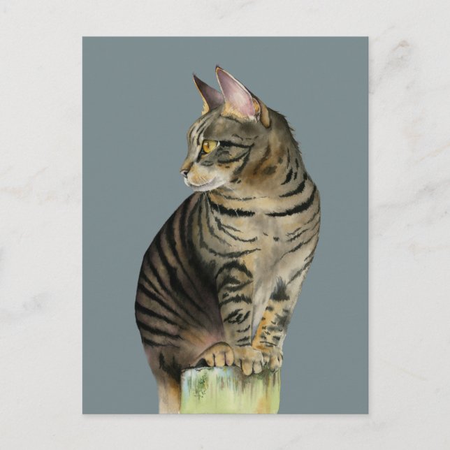 "The Lookout" Tabby Cat on Wood Post Illustration Postcard (Front)