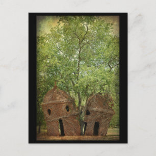 .::The Lookout Tree::. Postcard