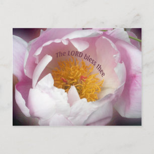 The Lord Bless Theee Postcard