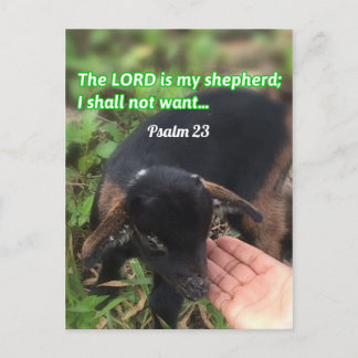 The Lord Is My Shepherd Bible Verse Picture Postcard