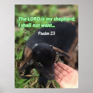The Lord Is My Shepherd Bible Verse Picture Poster