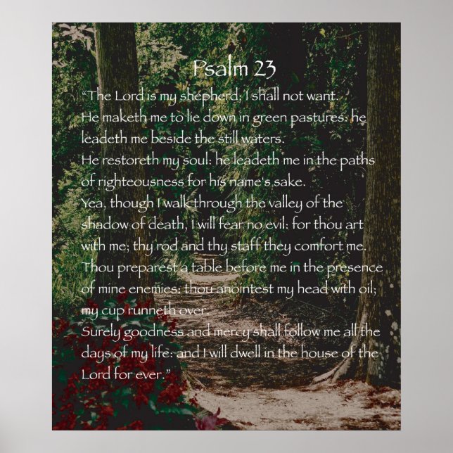 The Lord is my shepherd, Psalm 23 Poster (Front)