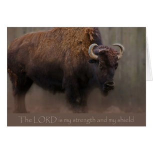 The LORD is my strength