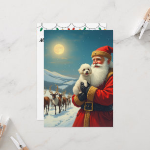 The loss of a pet dog at christmas invitation