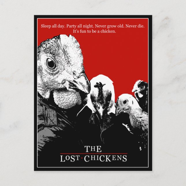 THE LOST CHICKENS POSTCARD (Front)