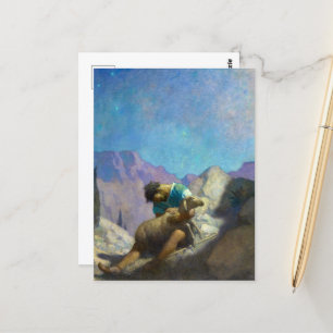 The Lost Sheep by Newell Convers Wyeth Postcard