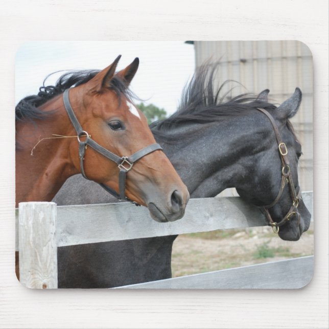 The Love Horses Mouse Pad (Front)