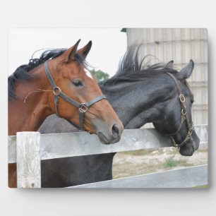 The Love Horses Plaque