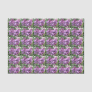 The lovely Lilacs Tissue Paper