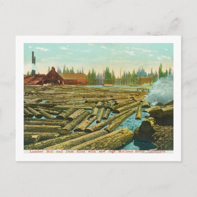 The Lumber Mill and Dam, River filled with Postcard (Front)