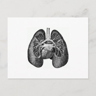 The lungs & heart postcard
