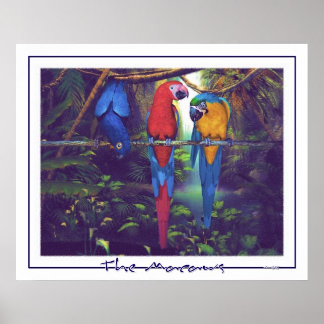 The Macaws - Poster (Front)